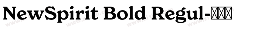 NewSpirit Bold Regul字体转换